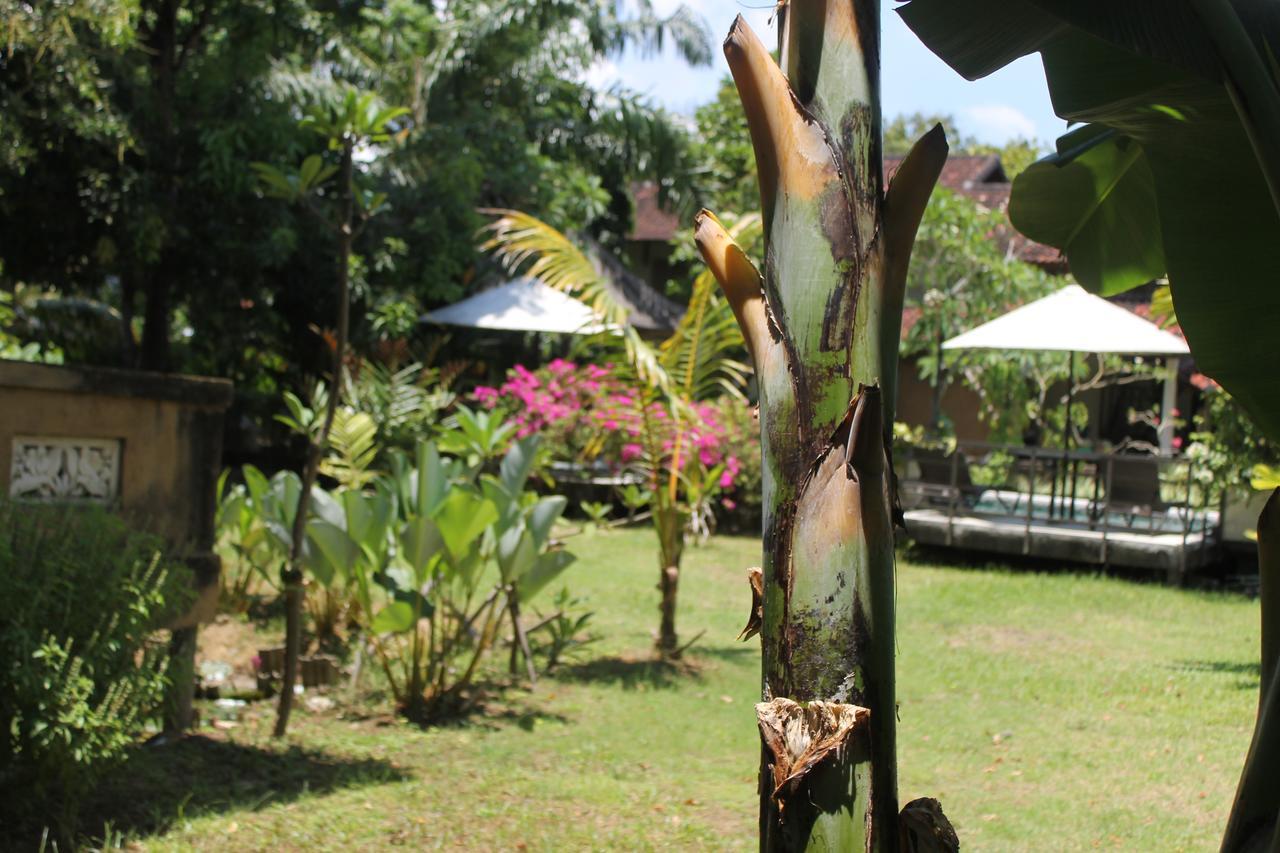 Puri Kutat Lestari Hotel Sanur  Bagian luar foto